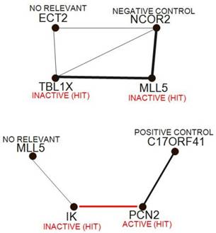 J Biomed Image