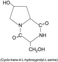 J Biomed Image