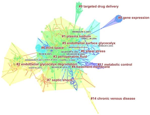 J Biomed Image