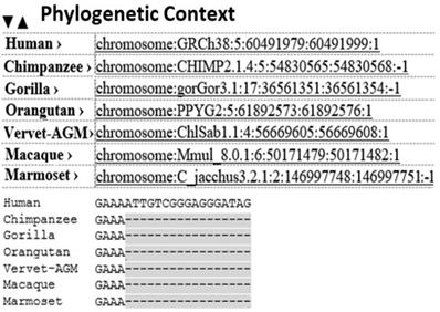 J Biomed Image