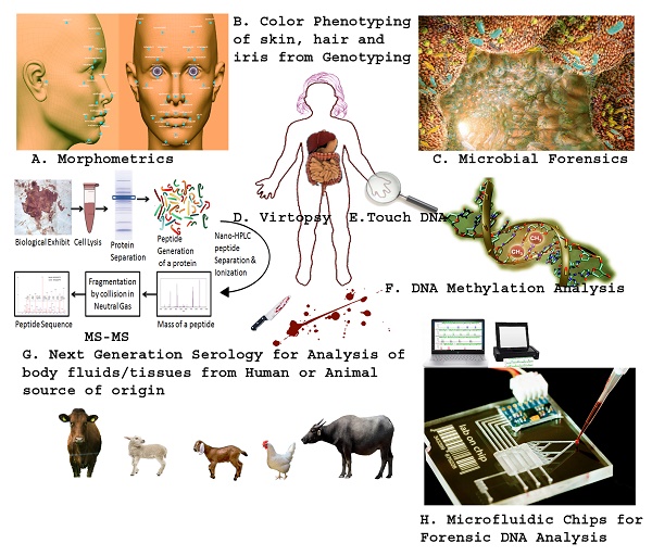 The Future Of Forensic Biology 