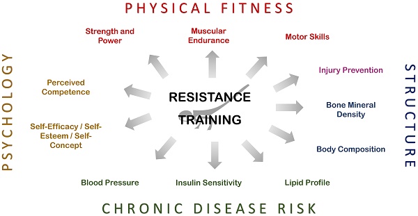 PDF] Efficacy of a progressive resistance exercise program to